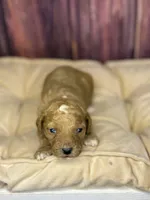 processed/87827859-3a9c-4f84-b570-27076a68ec94/listing/275953ff-f5da-4fb9-8257-a9b6ae6f4ccc/8b863d2d-3ba3-485d-b25a-e34fa99b1db2