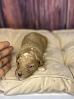 processed/87827859-3a9c-4f84-b570-27076a68ec94/listing/275953ff-f5da-4fb9-8257-a9b6ae6f4ccc/f6988e91-029c-40d0-9394-faf3c538c471