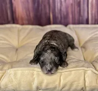 processed/87827859-3a9c-4f84-b570-27076a68ec94/listing/2f7a997a-f6ce-4d9a-a8d2-e78808b29859/a3f5702b-fee0-4966-a612-3c2123f47a3f