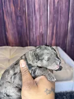 processed/87827859-3a9c-4f84-b570-27076a68ec94/listing/2f7a997a-f6ce-4d9a-a8d2-e78808b29859/a49ba4af-d1f4-4324-89f5-107c0eb39049