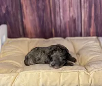 processed/87827859-3a9c-4f84-b570-27076a68ec94/listing/2f7a997a-f6ce-4d9a-a8d2-e78808b29859/c6bab4eb-7770-4301-9ddf-0b7ecb80e7a3