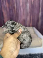 processed/87827859-3a9c-4f84-b570-27076a68ec94/listing/2f7a997a-f6ce-4d9a-a8d2-e78808b29859/d2d6f6d0-c0af-4a2d-ae64-5123718f945b