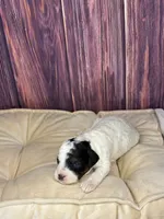 processed/87827859-3a9c-4f84-b570-27076a68ec94/listing/4700a2ec-15ec-4ad8-ae26-eb367d158dc3/798439d3-3d73-4892-8036-47c337678c33