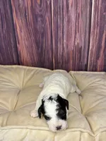 processed/87827859-3a9c-4f84-b570-27076a68ec94/listing/4700a2ec-15ec-4ad8-ae26-eb367d158dc3/ec5ae27f-c21e-4673-b111-c206f3f4594a