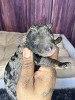 processed/87827859-3a9c-4f84-b570-27076a68ec94/listing/4890f8e2-9fca-49fc-88fe-ec6336574ee0/3e78da35-e3bd-4ff7-a59e-f36e7836ad0e