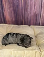 processed/87827859-3a9c-4f84-b570-27076a68ec94/listing/4890f8e2-9fca-49fc-88fe-ec6336574ee0/45fde50e-788a-4a4a-ba53-311bf4a16568