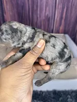 processed/87827859-3a9c-4f84-b570-27076a68ec94/listing/4890f8e2-9fca-49fc-88fe-ec6336574ee0/4c6ace43-f4f9-48a2-9329-e209e0762135