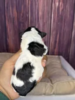 processed/87827859-3a9c-4f84-b570-27076a68ec94/listing/9bc3a681-aad1-4686-9339-ddae58910841/99e179b7-0f0e-4184-82b1-581cf242126f