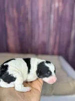 processed/87827859-3a9c-4f84-b570-27076a68ec94/listing/9bc3a681-aad1-4686-9339-ddae58910841/b242e38b-d249-43d3-8d7d-982eea36618d