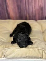 processed/87827859-3a9c-4f84-b570-27076a68ec94/listing/9dfb384b-fcf9-44b3-be6e-081f13f23327/563a78f9-01cb-44cc-b398-488e3dcd4cc3