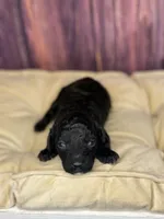 processed/87827859-3a9c-4f84-b570-27076a68ec94/listing/9dfb384b-fcf9-44b3-be6e-081f13f23327/91b44d78-5aa0-4f98-8c55-6987d75f81ba