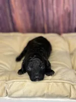 processed/87827859-3a9c-4f84-b570-27076a68ec94/listing/9dfb384b-fcf9-44b3-be6e-081f13f23327/fd70663e-46f8-46a5-ba0a-043c29588ec2