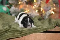 processed/87829e90-5fa1-4c10-abf7-248134b1f0d4/listing/319f0b95-e4f0-4eea-8f4d-aa780bba19f5/53e7a557-70d5-4e15-b5ee-92371d6e3803