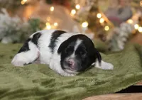 processed/87829e90-5fa1-4c10-abf7-248134b1f0d4/listing/319f0b95-e4f0-4eea-8f4d-aa780bba19f5/d72671e4-ef59-44c6-8adf-2f5d7370827c