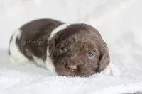 processed/87829e90-5fa1-4c10-abf7-248134b1f0d4/listing/5d604bda-275c-4641-adb9-7d97e3a7d74a/c490e313-7844-4334-8d76-016363410ce0