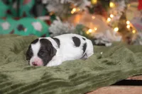 processed/87829e90-5fa1-4c10-abf7-248134b1f0d4/listing/68495240-9a4f-442c-b076-713d5a656fff/238cd229-f567-42d4-9268-a2a280ef5f07