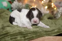 processed/87829e90-5fa1-4c10-abf7-248134b1f0d4/listing/68495240-9a4f-442c-b076-713d5a656fff/3c99bd57-8874-4bdb-9a09-11005915bfe1