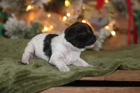 processed/87829e90-5fa1-4c10-abf7-248134b1f0d4/listing/6b1965a5-8de6-4750-84fa-5dcc5633f04f/355c65ba-a16a-4a6e-9eef-e000a46fa77b