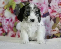 processed/87829e90-5fa1-4c10-abf7-248134b1f0d4/listing/858b4599-421f-42fc-9d50-bb99157d7849/3e353cd4-01ef-45f1-aed6-30ec37bf0d65