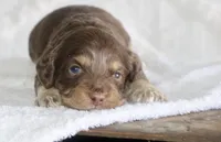 processed/87829e90-5fa1-4c10-abf7-248134b1f0d4/listing/db85ce24-ced9-4fae-aba5-6fe9e95ce4d6/9488c889-0a33-4cdd-a567-42d7ff2eff3b