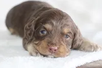 processed/87829e90-5fa1-4c10-abf7-248134b1f0d4/listing/db85ce24-ced9-4fae-aba5-6fe9e95ce4d6/e5c348eb-a30c-4e54-bd6d-3707226d41b0