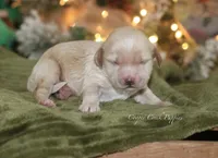 processed/87829e90-5fa1-4c10-abf7-248134b1f0d4/listing/ee5521c3-ec24-411e-82be-42a26fe4c036/b71d27ec-c848-4784-a2b9-b13c9494ceaa