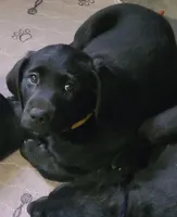 processed/8790a15e-31c8-40d4-aab2-86029711baf9/listing/aae74717-5a5c-4c2a-ba5d-608b0e59d653/9a8d8263-32a9-4a48-a796-ad6da4e8a96f