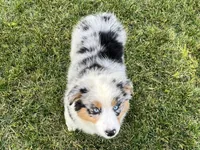 processed/879a4e6d-2487-4aec-a683-502ac0ca5a50/listing/4df642bb-a4f1-4b12-ad43-405943df780d/18620188-490c-4354-9053-db21699fbe0a