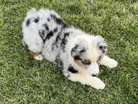 processed/879a4e6d-2487-4aec-a683-502ac0ca5a50/listing/4df642bb-a4f1-4b12-ad43-405943df780d/54f13f98-4c37-4208-a79a-077a813b60a7