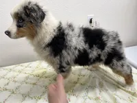 processed/879a4e6d-2487-4aec-a683-502ac0ca5a50/listing/4df642bb-a4f1-4b12-ad43-405943df780d/6ba3f862-0983-4cce-b8f4-35b0c327f2db