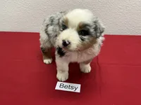 processed/879a4e6d-2487-4aec-a683-502ac0ca5a50/listing/4df642bb-a4f1-4b12-ad43-405943df780d/78eed631-077c-4eee-9d4b-2e2f77da484b