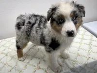 processed/879a4e6d-2487-4aec-a683-502ac0ca5a50/listing/4df642bb-a4f1-4b12-ad43-405943df780d/85f1c7ec-d88b-4892-a1a6-e719699aa137