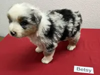 processed/879a4e6d-2487-4aec-a683-502ac0ca5a50/listing/4df642bb-a4f1-4b12-ad43-405943df780d/9eda1214-84f8-4384-aea9-f098923c3dae