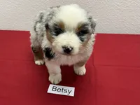 processed/879a4e6d-2487-4aec-a683-502ac0ca5a50/listing/4df642bb-a4f1-4b12-ad43-405943df780d/d05f2c01-bdc9-48d5-b7fe-1af7d3dc362c