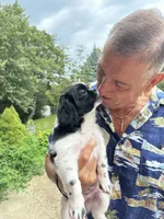 Lilly, a female Shih Tzu for sale in Worth, IL – 6 of 7