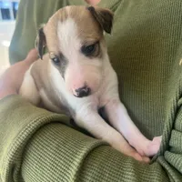 processed/87a1fdf3-7090-4c2a-be49-adca8dd1d216/facility/10935ceb-03df-483d-9402-24a53f93ea17