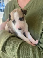 processed/87a1fdf3-7090-4c2a-be49-adca8dd1d216/facility/10935ceb-03df-483d-9402-24a53f93ea17