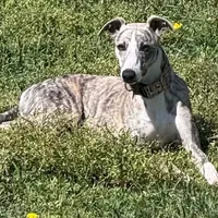 processed/87a1fdf3-7090-4c2a-be49-adca8dd1d216/facility/6f5cc292-2140-46a3-8177-fd806048c071