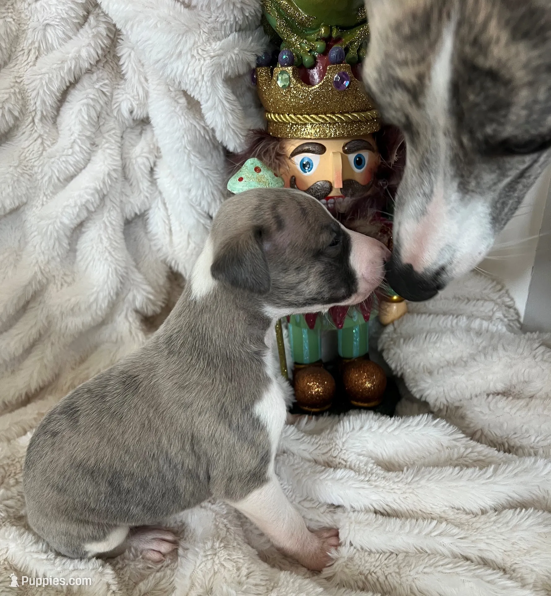 processed/87a1fdf3-7090-4c2a-be49-adca8dd1d216/facility/911c9360-c609-46c0-8694-107341f60071