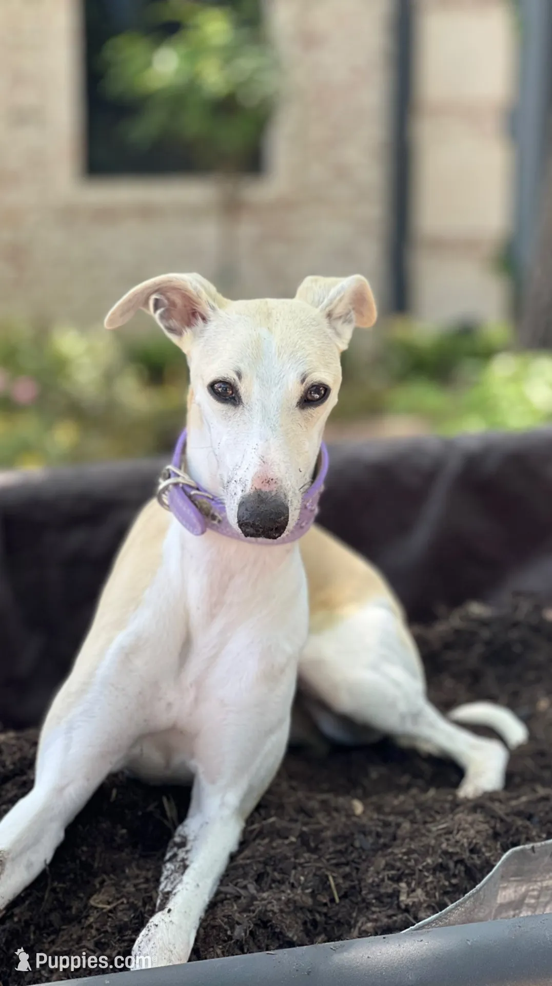 processed/87a1fdf3-7090-4c2a-be49-adca8dd1d216/facility/b508a41d-0af6-4b73-ac52-4d2ad21a9cb2