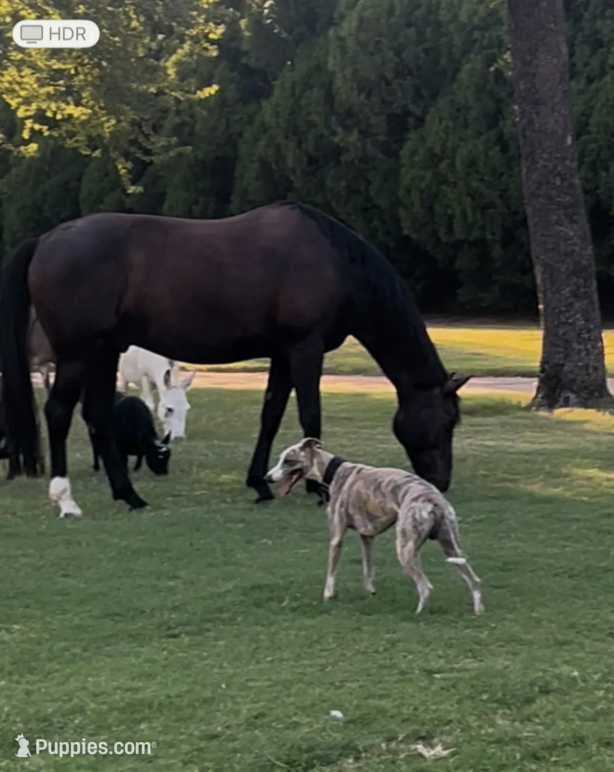 processed/87a1fdf3-7090-4c2a-be49-adca8dd1d216/facility/b96ccd5c-7ada-4884-a617-135903197ded