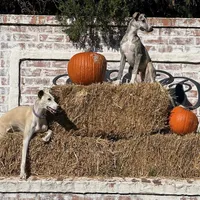 processed/87a1fdf3-7090-4c2a-be49-adca8dd1d216/facility/d59337b7-fc9d-45d1-9bdc-f4115fd913f7