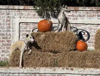 processed/87a1fdf3-7090-4c2a-be49-adca8dd1d216/facility/d59337b7-fc9d-45d1-9bdc-f4115fd913f7