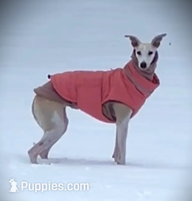 processed/87a1fdf3-7090-4c2a-be49-adca8dd1d216/facility/d6cd073a-977f-45f4-889f-a2f3a2330f16