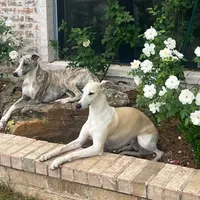 processed/87a1fdf3-7090-4c2a-be49-adca8dd1d216/facility/f1a51f31-81e6-47f8-a67f-ab4c0a7cfa1a