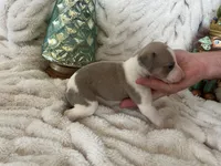 processed/87a1fdf3-7090-4c2a-be49-adca8dd1d216/listing/6ceeb9c2-56e6-4e88-98cf-7df0a79cb2d1/4032484f-01f5-431c-b89e-8d46071b4208