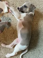 processed/87a1fdf3-7090-4c2a-be49-adca8dd1d216/listing/9708a5a9-da16-4eed-b310-7430ca3e3e15/b5288174-e808-44a3-9618-073ec7eea82c