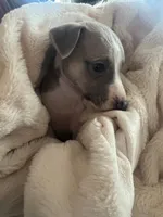 processed/87a1fdf3-7090-4c2a-be49-adca8dd1d216/listing/9708a5a9-da16-4eed-b310-7430ca3e3e15/c9a6f856-1a39-4414-8c38-71909aae8dd8