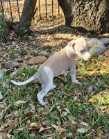 processed/87a1fdf3-7090-4c2a-be49-adca8dd1d216/listing/9708a5a9-da16-4eed-b310-7430ca3e3e15/f94f4c0e-5f21-4fe3-a902-ee429f5cae1a