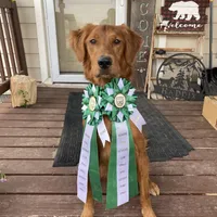 AKC HR Storm , a male Golden Retriever for sale in Gillette, WY – Photo 1 of 2